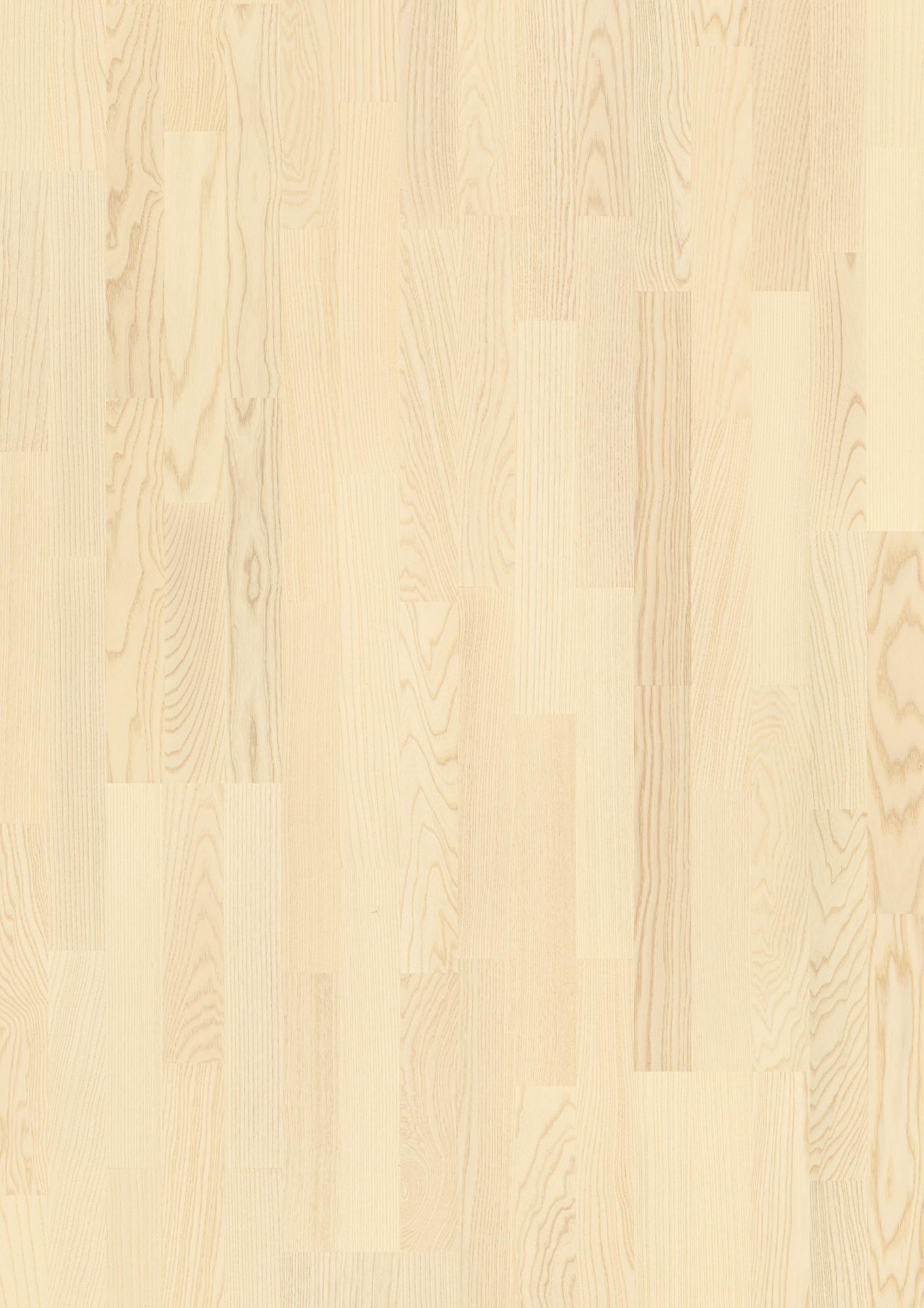 Frêne Blanc Andante, 14mm 3-Strip